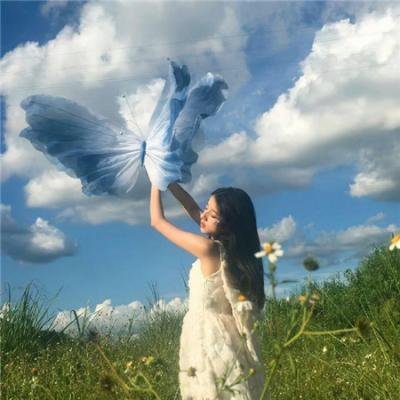 梦幻飞琴